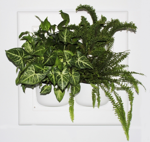 Flowall Pflanzenbild weiß/grün (-20%)