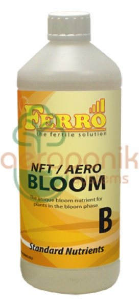 Ferro Aero Blüte A&B 1l